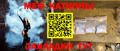 индика Тара