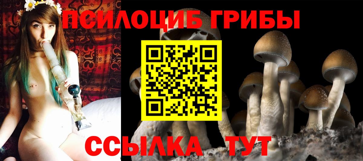 Галлюциногенные грибы мицелий Михайловск