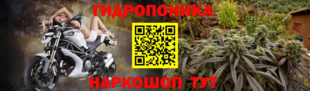 Михайловск  Канабис план  Марихуана семена  Вход с VPN  Марихуана конопля 